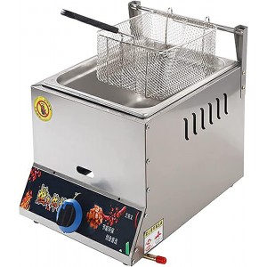 XUETAO Stainless Steel Countertop LPG Gas Fryer Commercial Countertop Gas Fryer for French Fries Restaurant Home Kitchen - NIDLK6N1