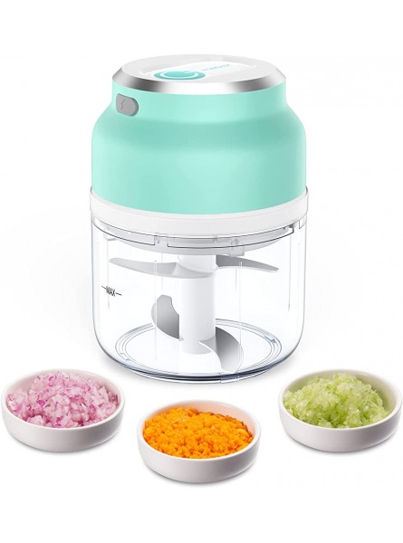 Homeasy Mini Chopper Small Food Processor Electric Chopper with USB Charging 300ML Portable Onion Chopper for Vegetables Garlic Ginger & Onions - PXXK9UP8