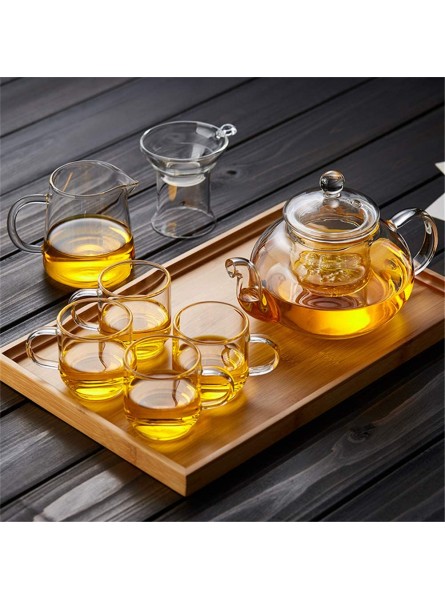 N C Glass teapot tea strainer durable and easy to clean lightweight and portable suitable for hot drinks iced tea coffee brewing - XTCIA8VK
