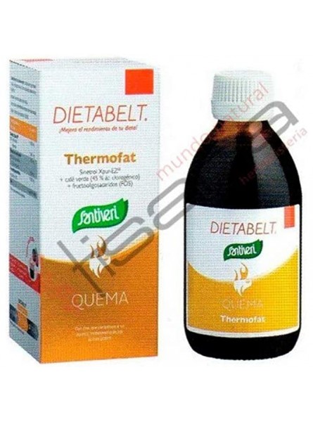 DIETABELT THERMOFAT Burning Syrup - ASXZFMT0