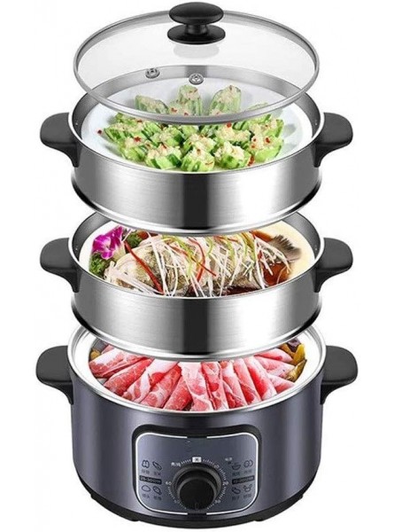 TONGSH Double Tiered Electric Steamer with Timer 1300W Fast Heating Stainless Steel Steamer The Knob Is Timed Flexible Control of The Heat - YAYX9RN1